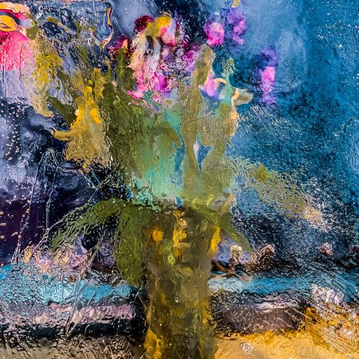 A vase of tulips photographed through naturally formed, crystal-clear ice! Makes it look like an oil painting.